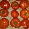 TOMATE MARMANDE