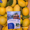 Citron d’Amalfi