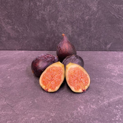 FIG