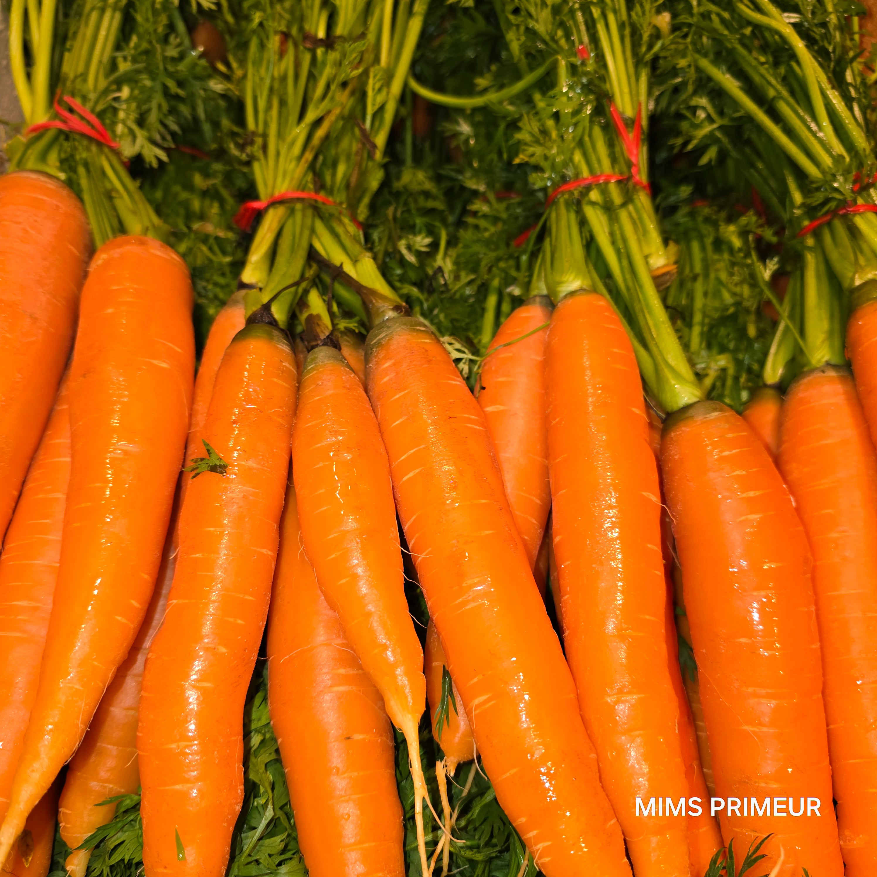 Carottes en botte italie