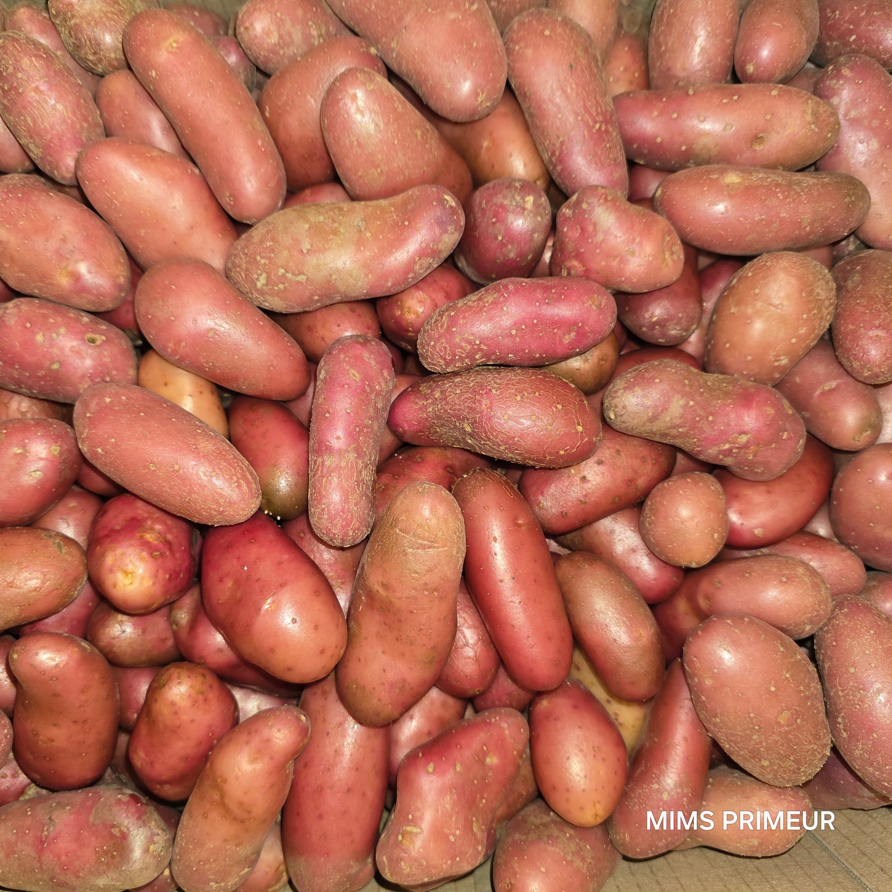 Patate chérie france