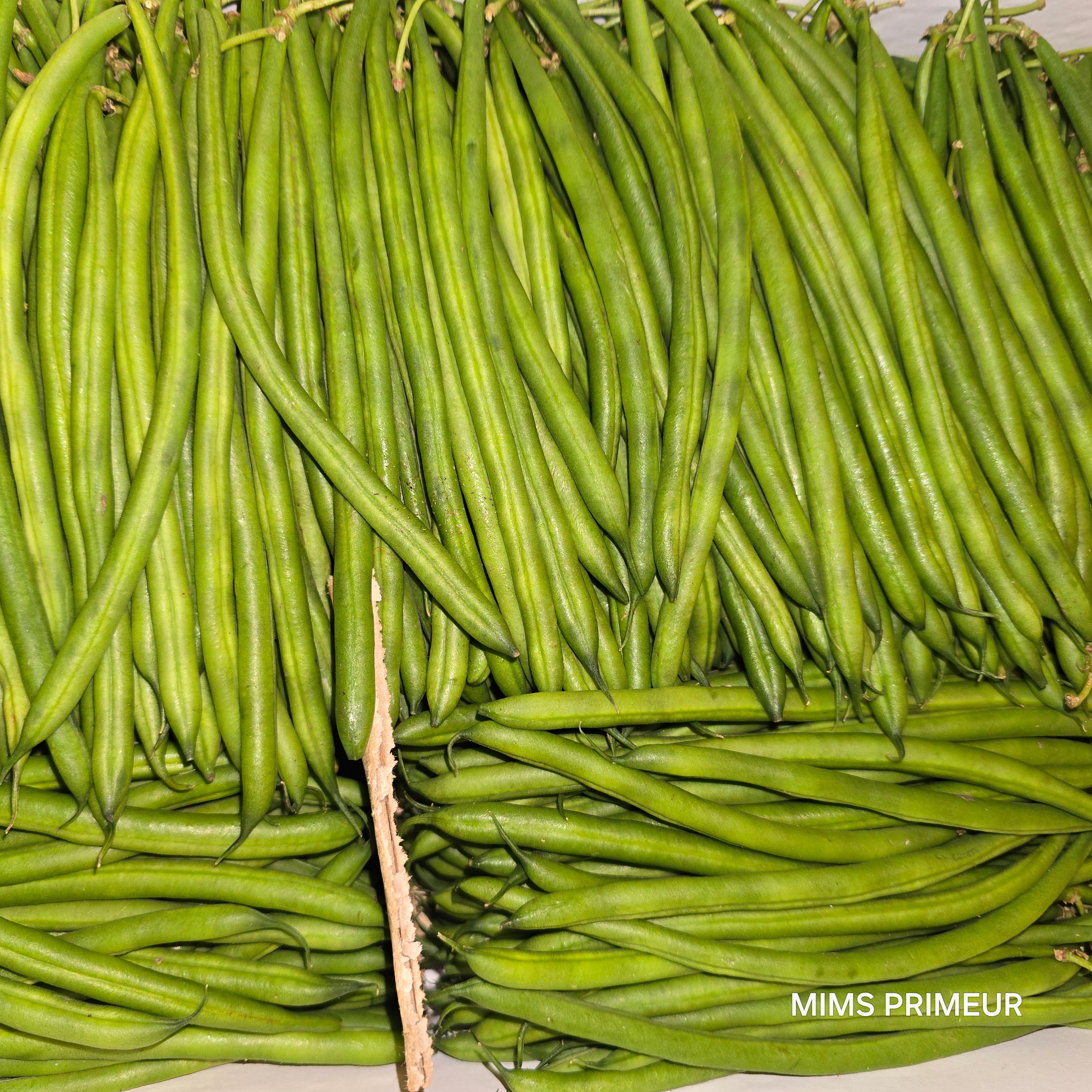 Haricots vert